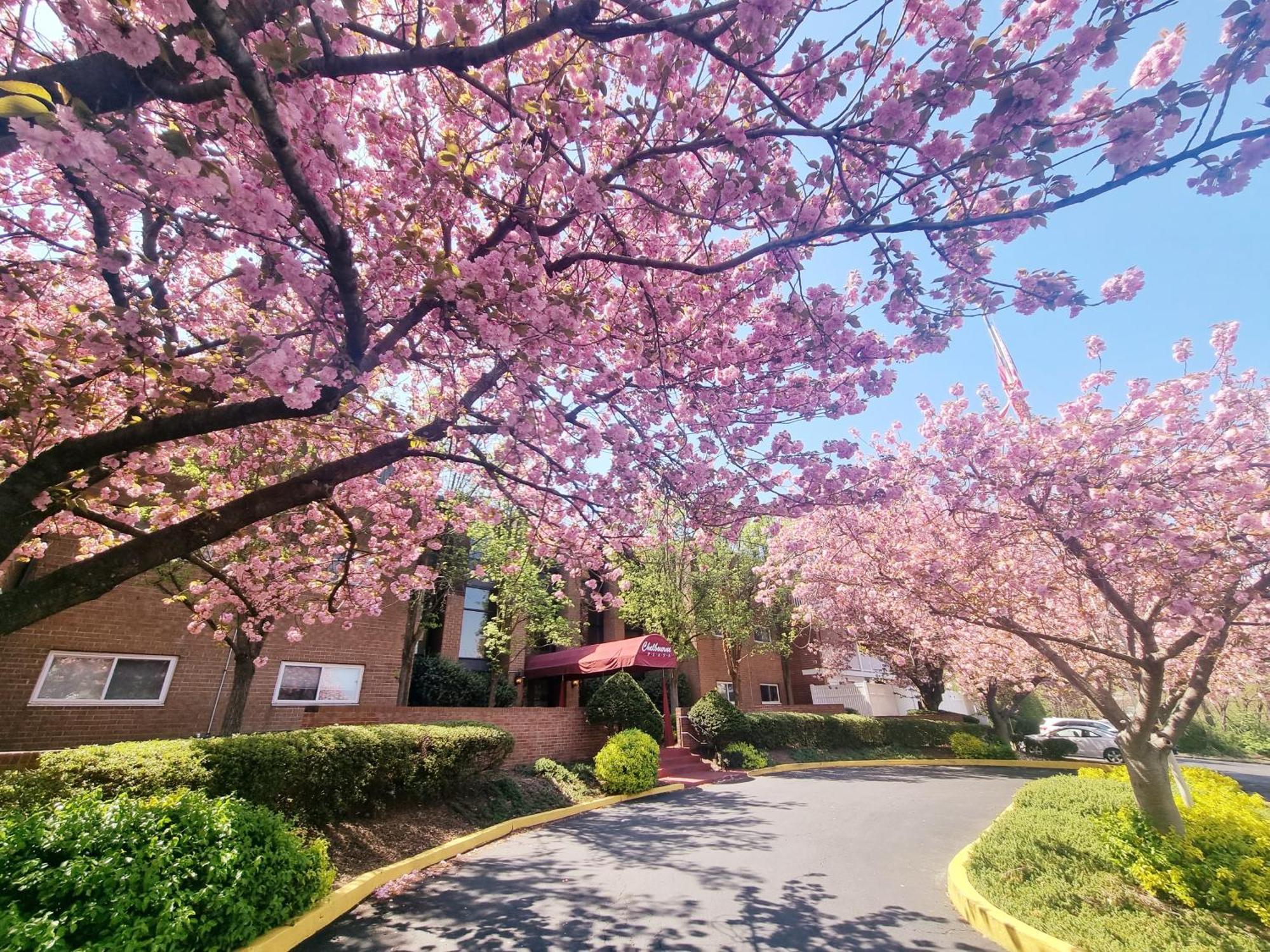 Cozy 2br, 2ba In Apartment